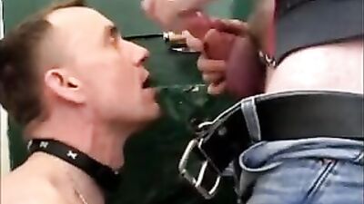 gay toilet sex - free gay porn