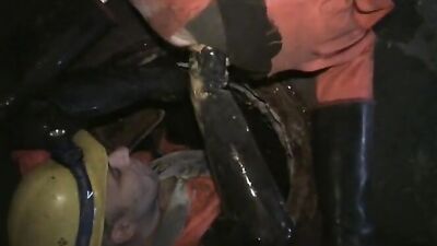 lrds a 23 - free gay porn