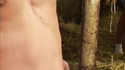 hard body farm boys have a gay orgy - free gay porn