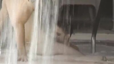 billy windsor kc williams - free gay porn
