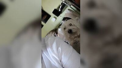 Gay Military Brotherhood Gay Porn (45)