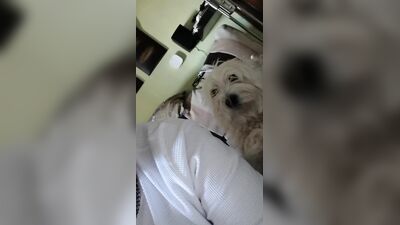 Gay Military Brotherhood Gay Porn (45)