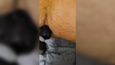 Gay Military Brotherhood Gay Porn (189)