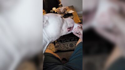 Gay Military Brotherhood Gay Porn (1296)