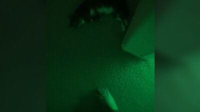 Gay Military Brotherhood Gay Porn (1293)