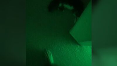 Gay Military Brotherhood Gay Porn (1293)