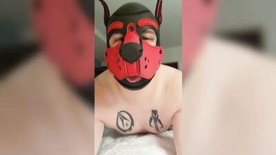 Gay Military Brotherhood Gay Porn (1183)