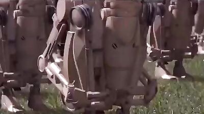 Gay Military Brotherhood Gay Porn (899)