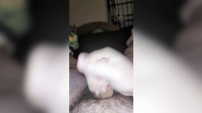 Gay Military Brotherhood Gay Porn (1221)