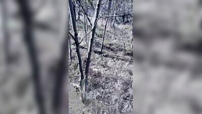Gay Military Brotherhood Gay Porn (661)
