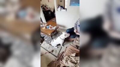 Gay Military Brotherhood Gay Porn (1172)