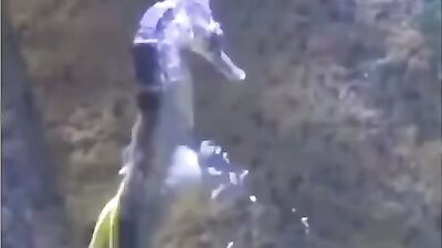 Gay Military Brotherhood Gay Porn (894)