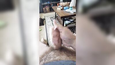 Gay Military Brotherhood Gay Porn (1157)