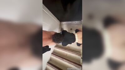 Short OnlyFans Clips - Part 2 (1067)