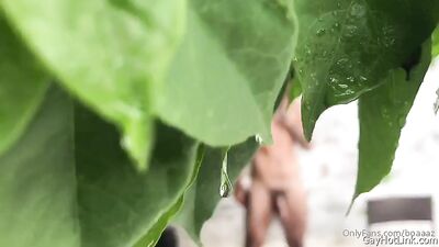 OnlyFans Clips Part 4 (1677)