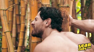 Sumner Blayne Hayden Harding Paul Holden Beau - Tropical Getaway Part 3 - free gay porn