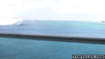 tim michael