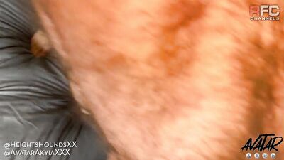 Avatar N The Hounds - gay porn video