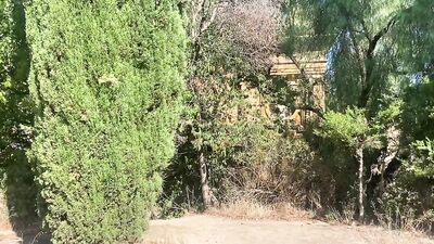 AndresIvanoff met MarsBarcelona in cruising area ANDRESIVANO - gay porn video
