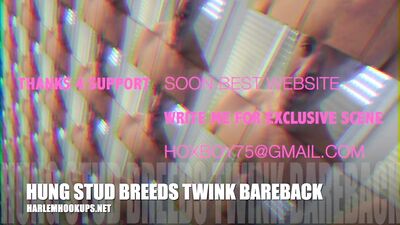 Hung Stud Breeds Twink Bareback - HarlemHookups