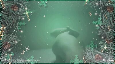 Goddess Alimony 22-12-22-Christmas-Cuckold AtCuckold com