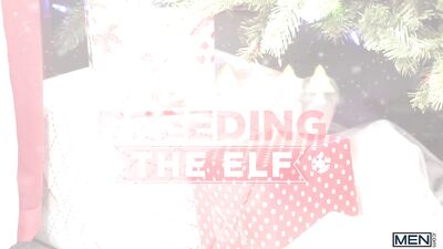 Breeding The Elf - Tannor Reed & Chris Damned 2020-12-21 - gay porn video