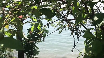 Hitting the Beach with Jay XXX 2021-03-14 - gay porn video