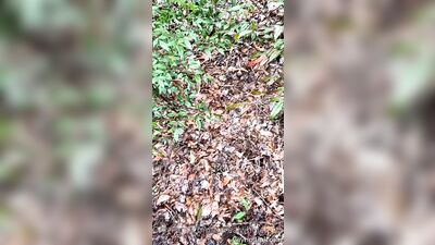 Small OF clips - gay porn video (Part 2) (1157)