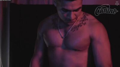Training Night For New Caninos - gay porn video