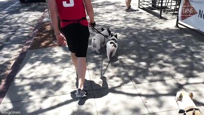 Fans -PG Walkin The Dogs In West Hollywood - gay porn video