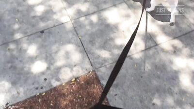 Fans -PG Walkin The Dogs In West Hollywood - gay porn video