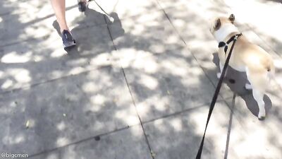 Fans -PG Walkin The Dogs In West Hollywood - gay porn video