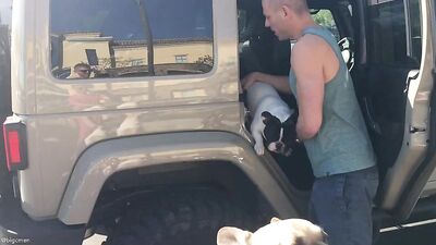 Fans - Petsmart Trip Video with Our 4 Dogs - gay porn video