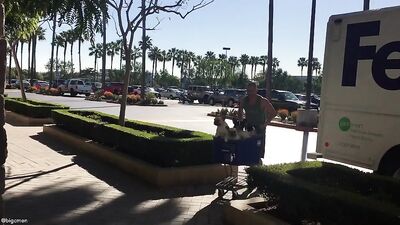 Fans - Petsmart Trip Video with Our 4 Dogs - gay porn video