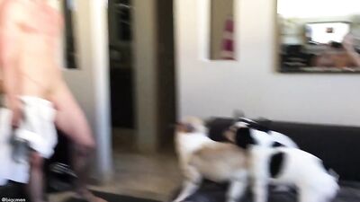 Fans - Our Morning Shower with the Doggies - gay porn video