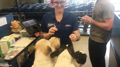 Fans -Our Petsmart Trip With The Pups - gay porn video