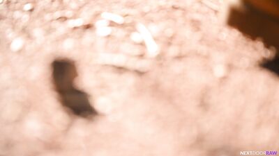Squirt Cruising, Hiking Trails - Trevor Brooks & Ricky Lee - gay porn video