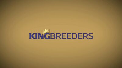 King Breeders - Rocky Vol. 1 - Tasty Little Treat - gay porn video - gay porn video