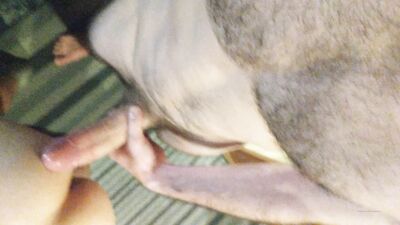 Fans - Hungoakland (19) - free gay porn