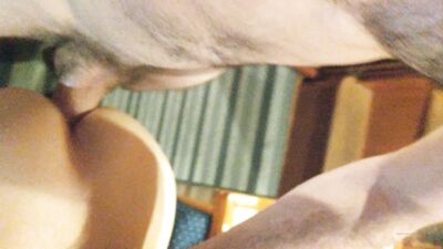 Fans - Hungoakland (19) - free gay porn