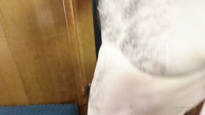 Fans - Hungoakland (37) - free gay porn