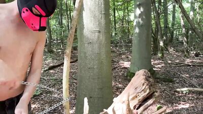 projectYstudios - Cuckold in the Woods - gay porn video