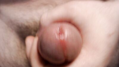 A Gay Point of View (65)