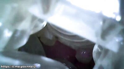 A Gay Point of View (192)