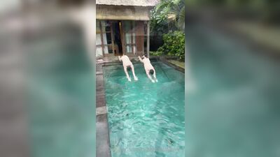 Fans - Czechgaytwins (19)