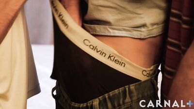 Men Of The Family Vol 1 - Men Of The Family - gay porn video
