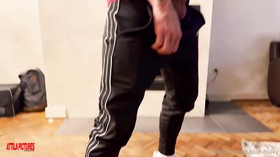 Fans - Pup Hulky First Gang Bang part 3 - gay porn video