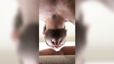 Hung Daddy Breeds Latino Twink Until Hes Dripping Cum