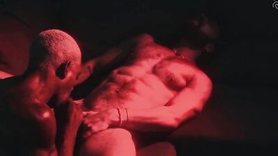 The Last Night