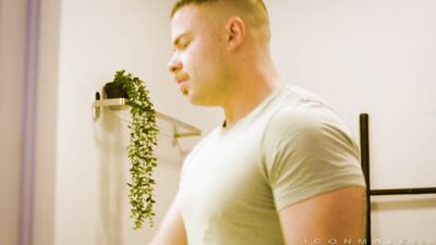 IconMale - Marcus McNeill JoeVanni - Noisy Neighbour